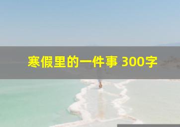 寒假里的一件事 300字